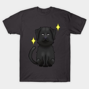 Black curly coated retriever dog T-Shirt